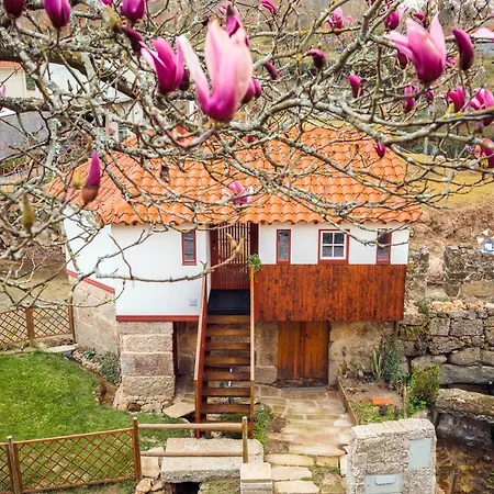 Refugio House Natura Moinho De Agua - Eco House Guimarães