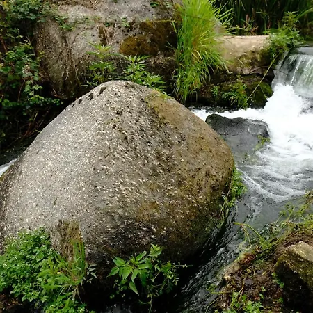 Refugio House Natura Moinho De Agua - Eco House 펜션 *